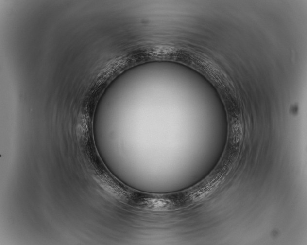 X0000100770654200806261544