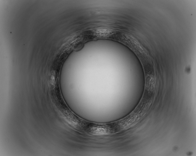 X0000100770655200806261544