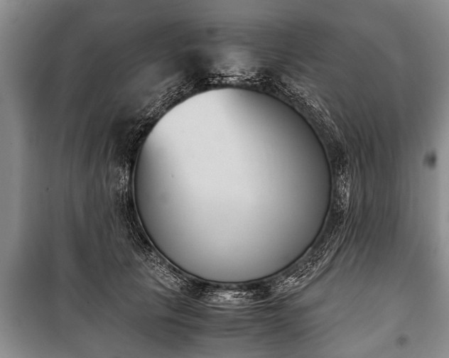 X0000100770657200806261544