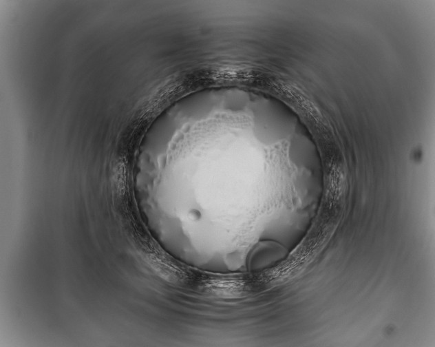 X0000100770659200806261544