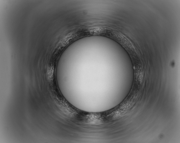 X0000100770660200806261544