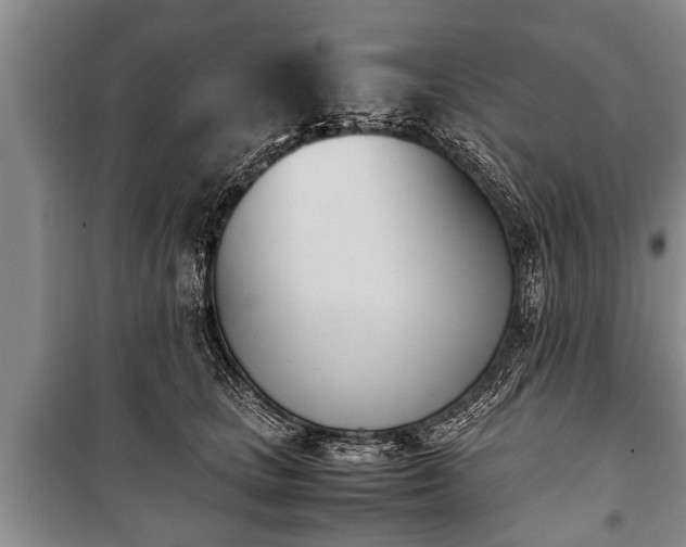 X0000100770661200806261544