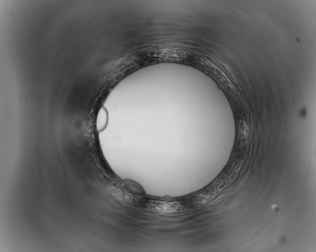 X0000100770663200806261544