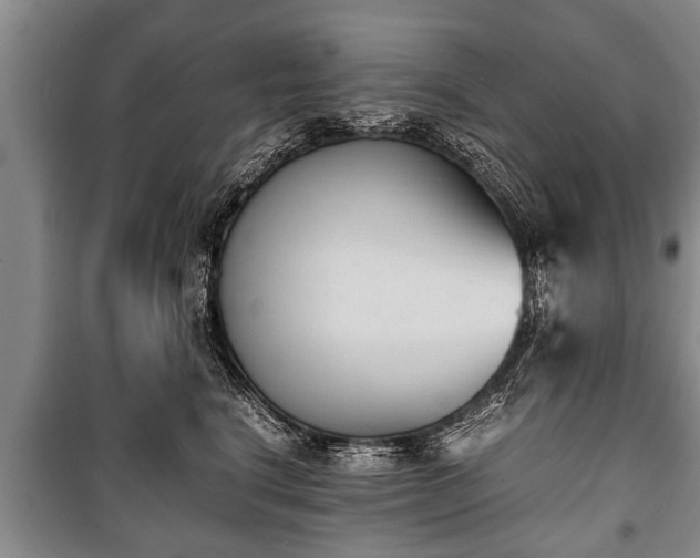X0000100770664200806261544