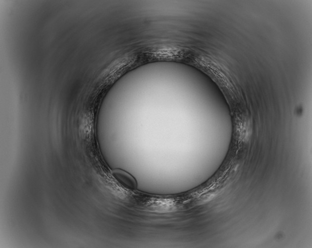 X0000100770665200806261544
