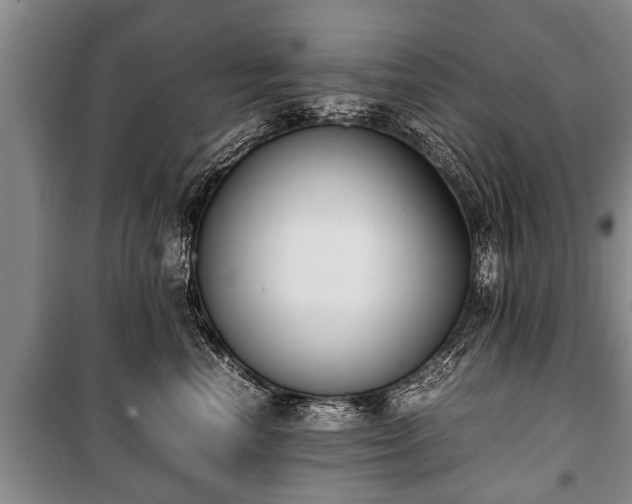 X0000100770666200806261544