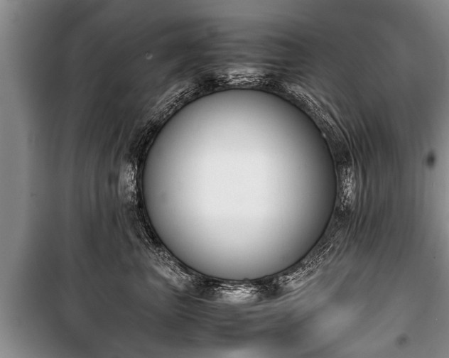 X0000100770667200806261544