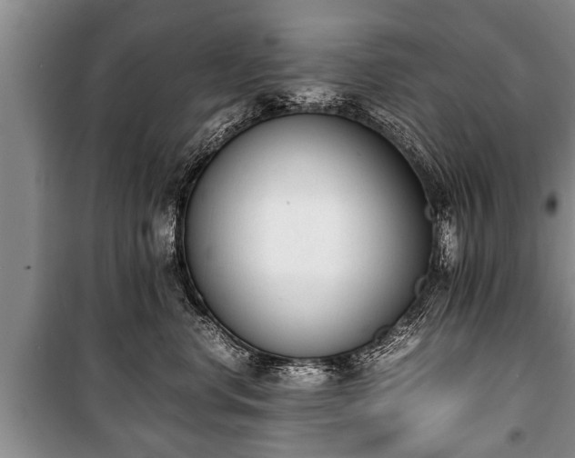 X0000100770668200806261544