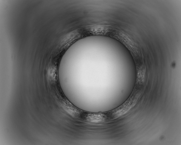 X0000100770671200806261544