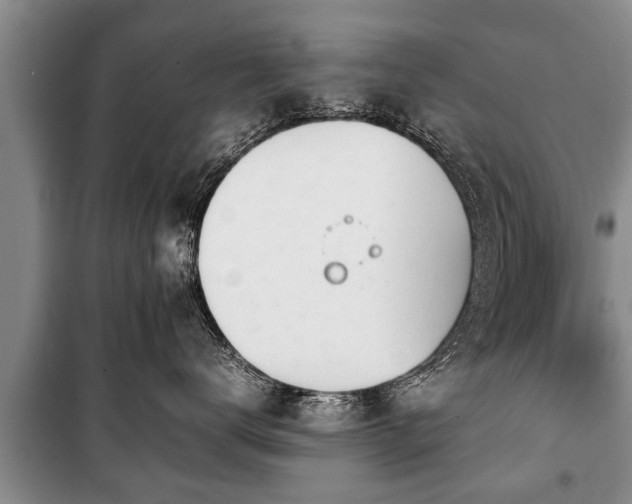 X0000100770672200806261545