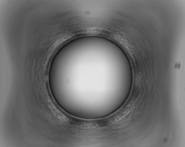 X0000100770673200806261544
