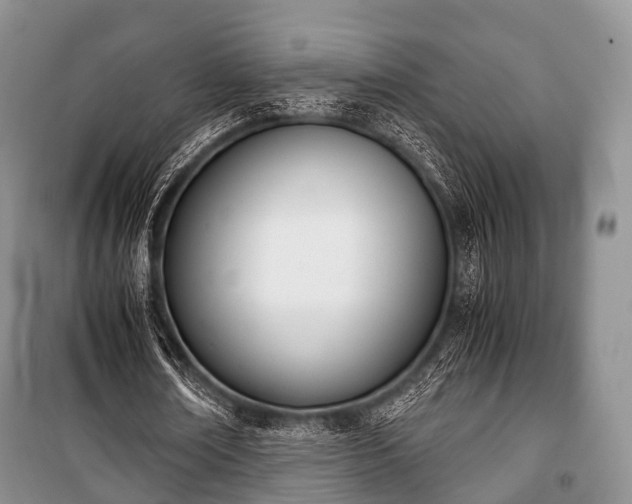 X0000100770674200806261544