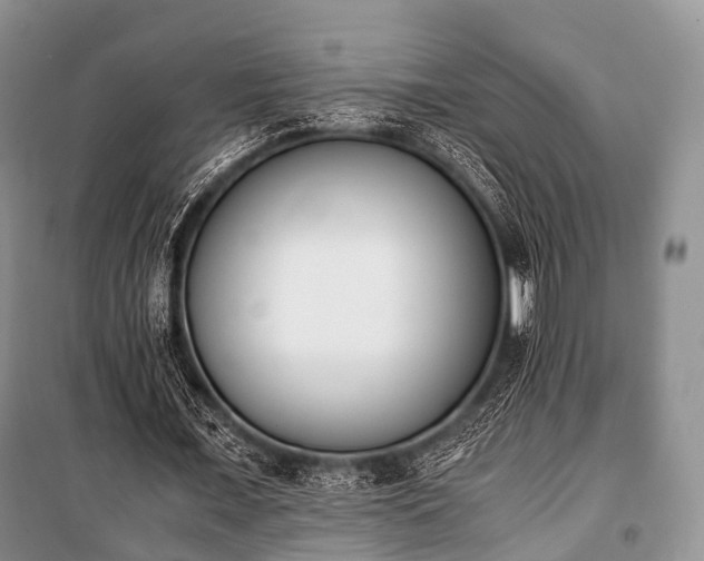 X0000100770675200806261544