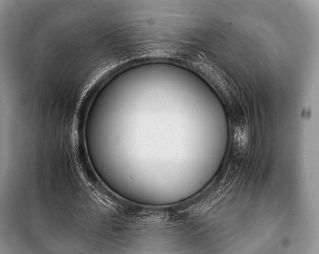 X0000100770676200806261544