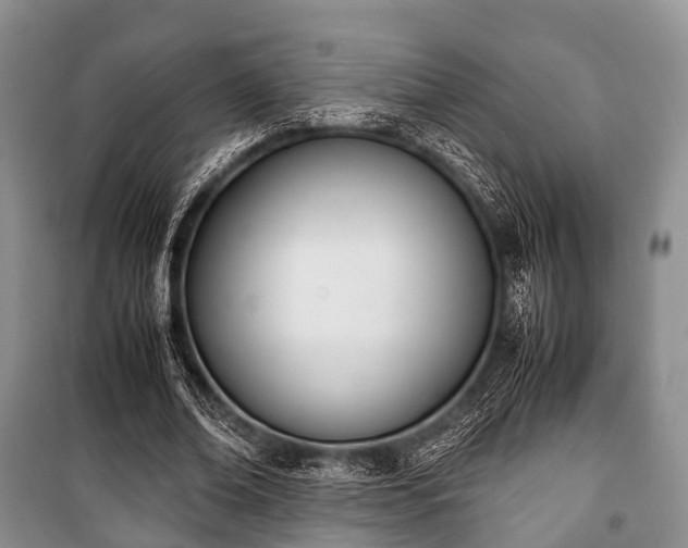 X0000100770678200806261544