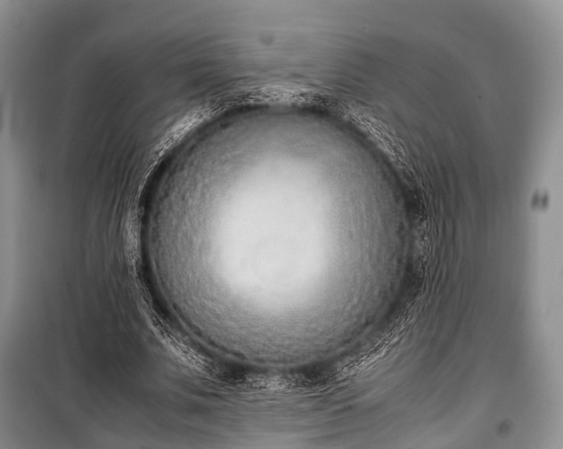 X0000100770679200806261544