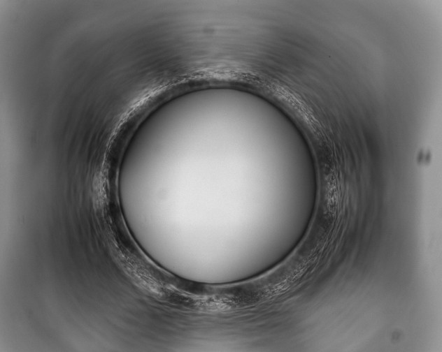X0000100770680200806261544