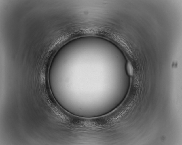 X0000100770681200806261544