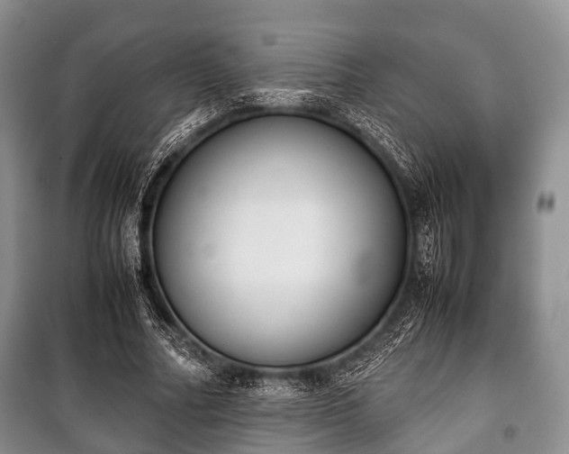 X0000100770682200806261544