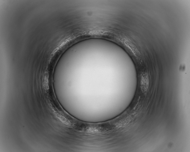 X0000100770684200806261543