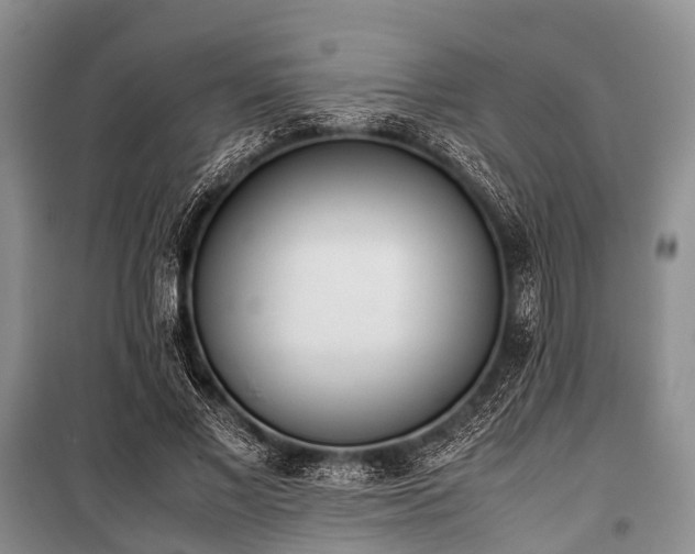 X0000100770685200806261543