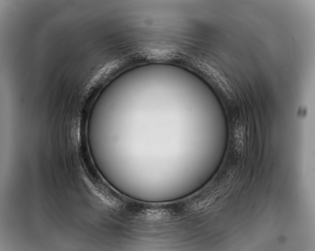 X0000100770686200806261543