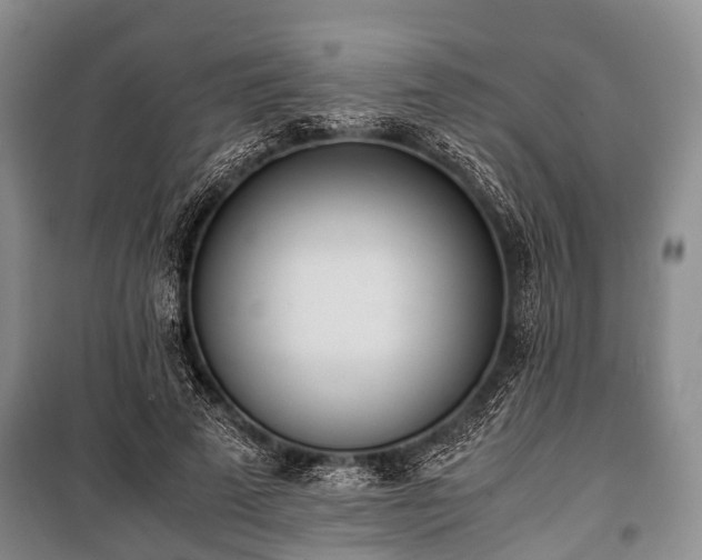 X0000100770689200806261543