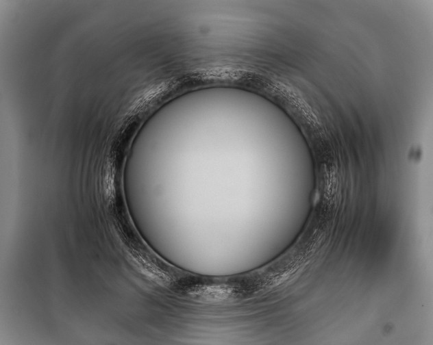 X0000100770692200806261543