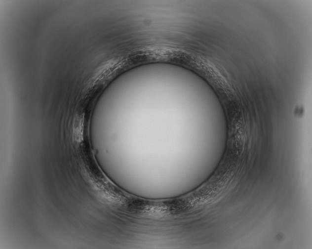 X0000100770694200806261543