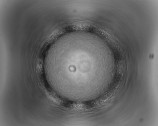 X0000100770695200806261543