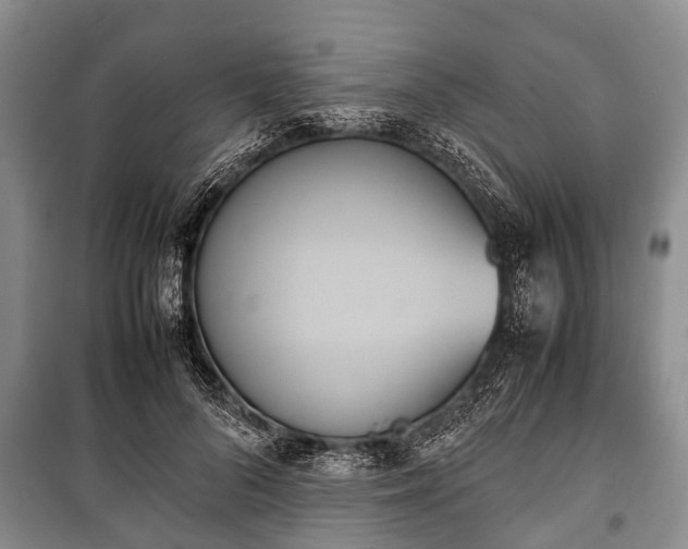 X0000100770696200806261543