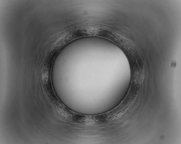 X0000100770697200806261543