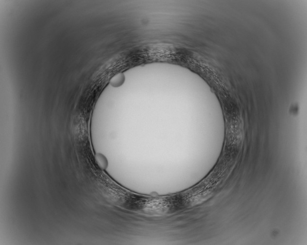 X0000100770705200806261543