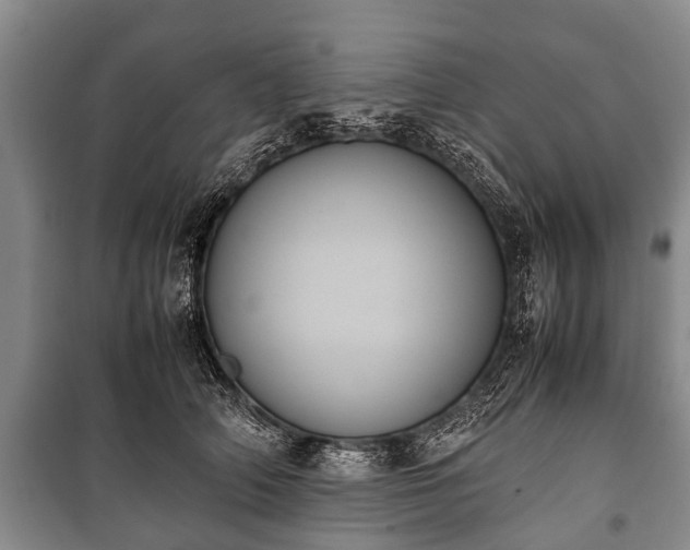 X0000100770706200806261543