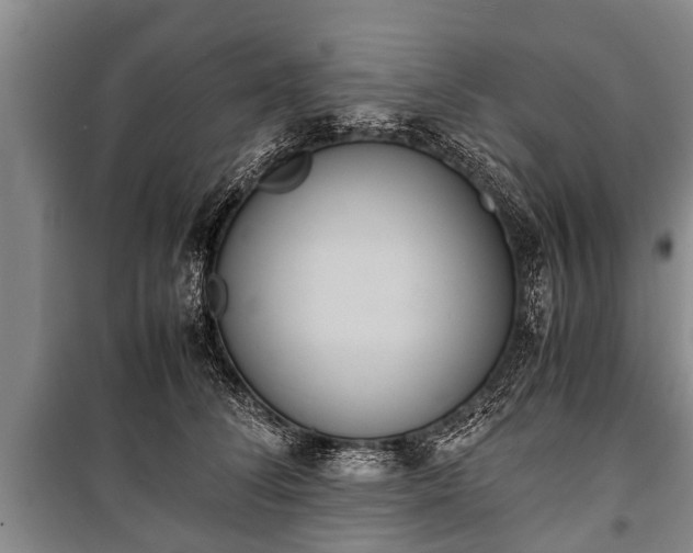 X0000100770708200806261543