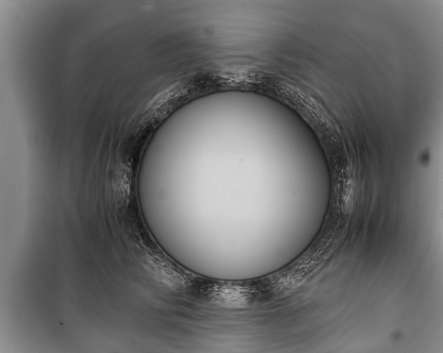 X0000100770710200806261543