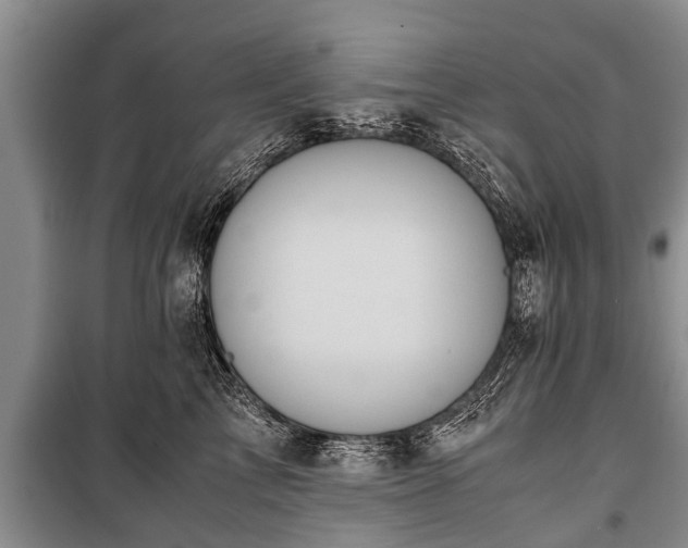 X0000100770713200806261543