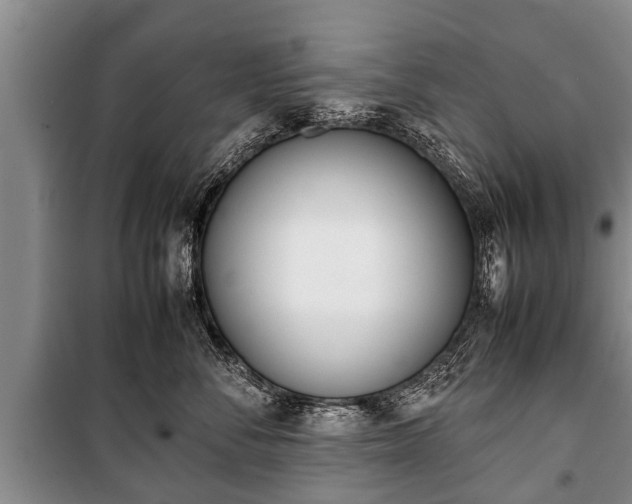 X0000100770716200806261543