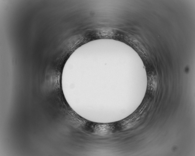 X0000100770717200806261543