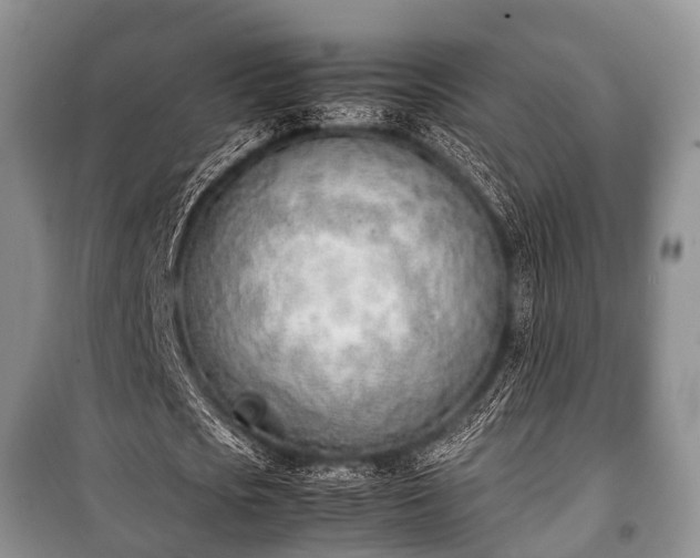 X0000100770721200806261542