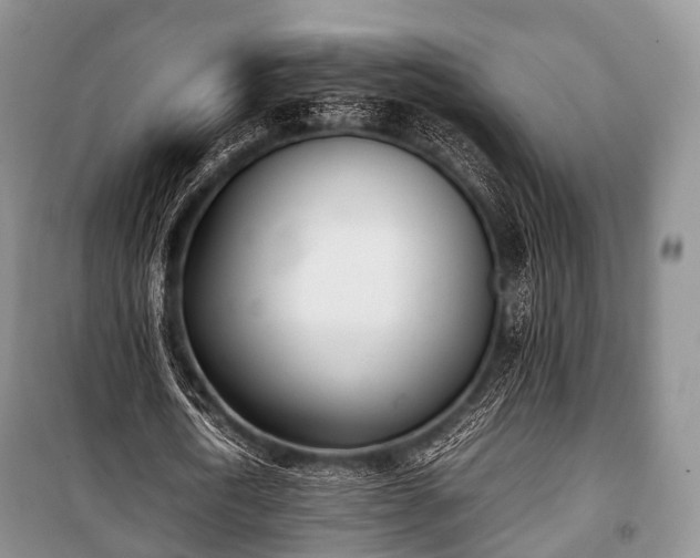 X0000100770722200806261542