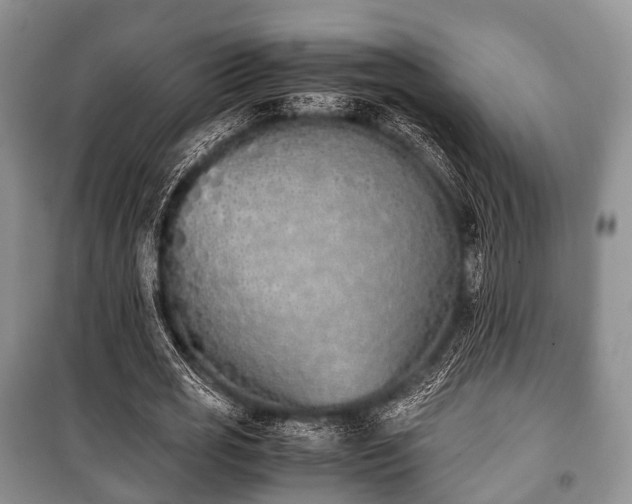 X0000100770725200806261542