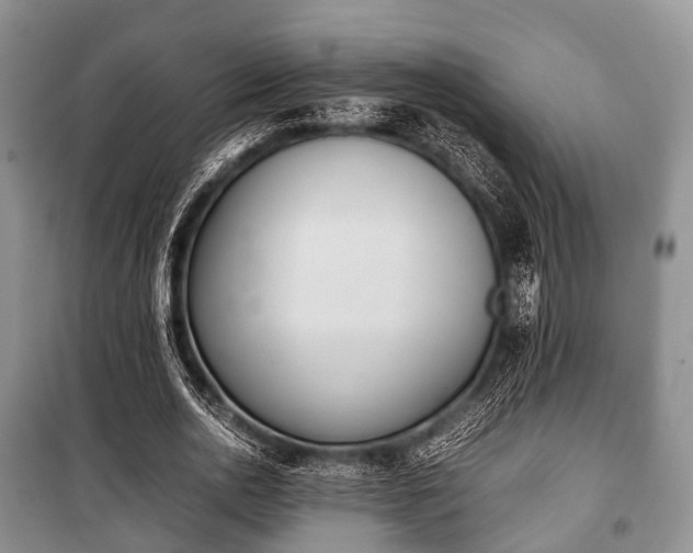 X0000100770726200806261542