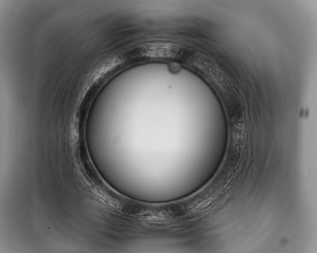 X0000100770727200806261542