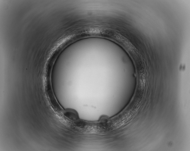 X0000100770728200806261542