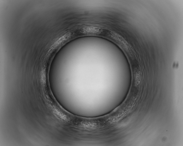 X0000100770729200806261542