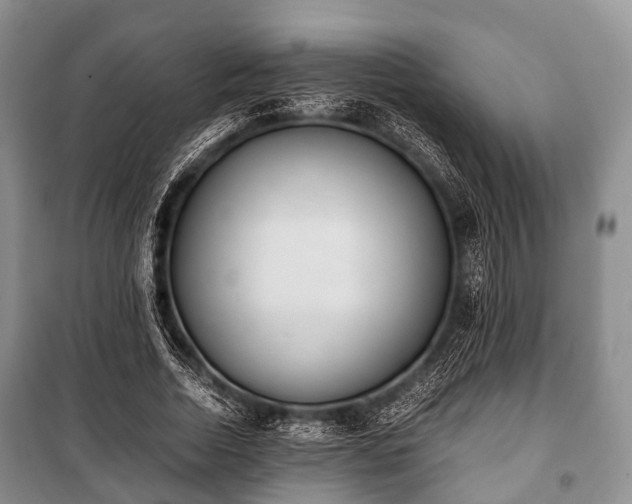 X0000100770730200806261542