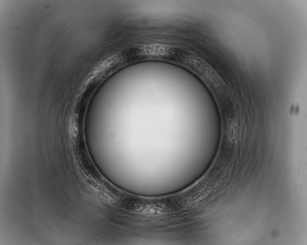 X0000100770731200806261542