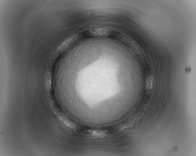 X0000100770733200806261542