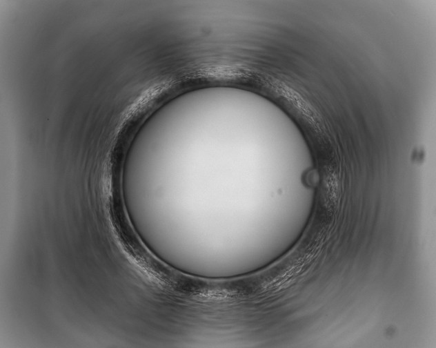 X0000100770734200806261542